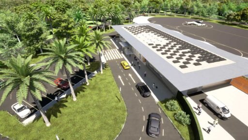 Lilium vertiport Florida