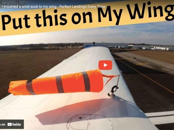 Just Plane Silly windsock